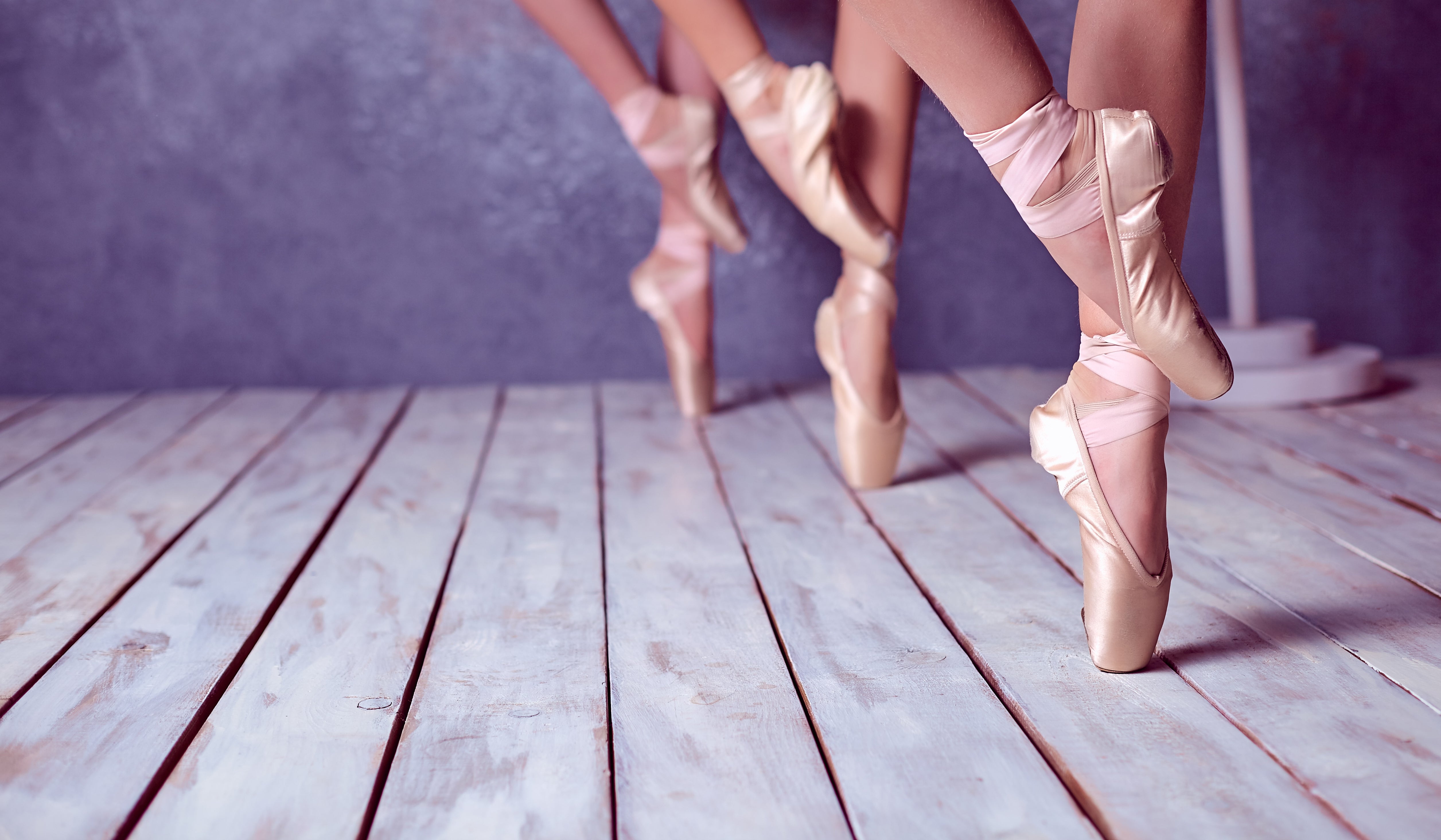 What Is a Pointe Shoe?: A Guide to the Advanced Dance Footwear — Dancewear  Center